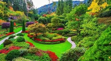 Canadá Oeste: Parques Naturales con Whistler y Victoria - Grandes Viajes Canadá Oeste: Parques Naturales con Whistler y Victoria - Grandes Viajes