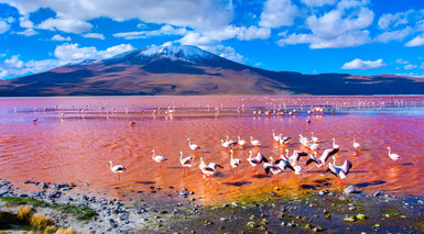 Patagonia Argentina y Chilena + Desierto de Atacama Patagonia Argentina y Chilena + Desierto de Atacama