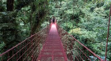 Costa Rica Básica en 4x4 - Grandes Viajes Costa Rica Básica en 4x4 - Grandes Viajes