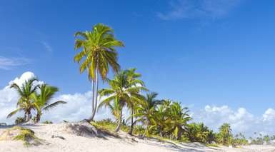 Punta Cana en Todo Incluido desde Lisboa Punta Cana en Todo Incluido desde Lisboa