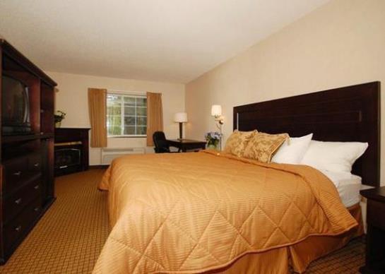Hotel Comfort Inn Pittsfield