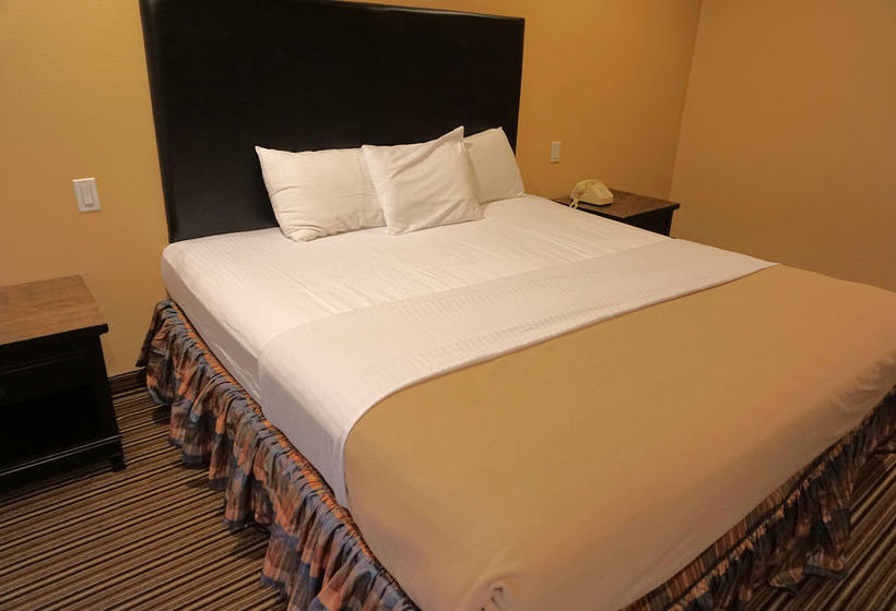 Hotel Hollywood Inn Express South Los Angeles