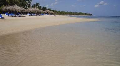 Samana Samana