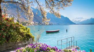 Suiza al Completo Suiza al Completo