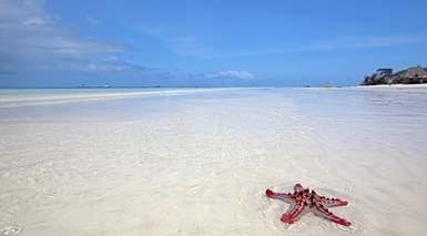 Zanzibar Zanzibar