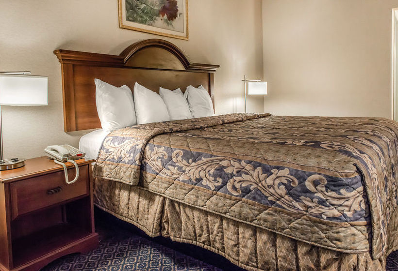 Hotel Best Inn Wexford