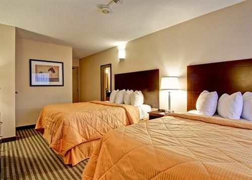 Hotel Comfort Inn East Scarborough