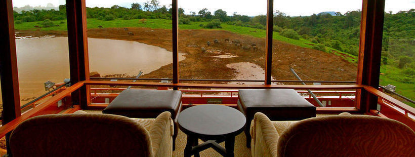 Hotel The Ark Nyeri