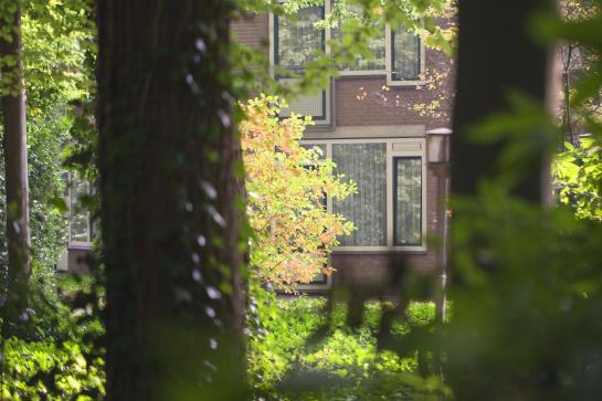 Best Western Parkhotel Putten