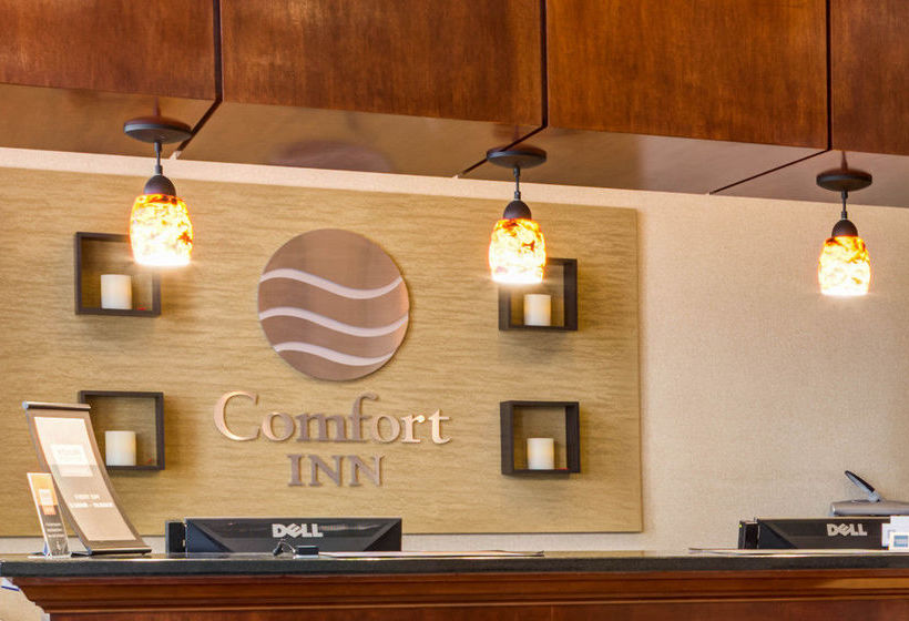 Hotel Comfort Inn Sunset Park Park Slope Brooklyn