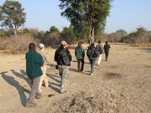 호텔 Mushroom Lodge Chipata