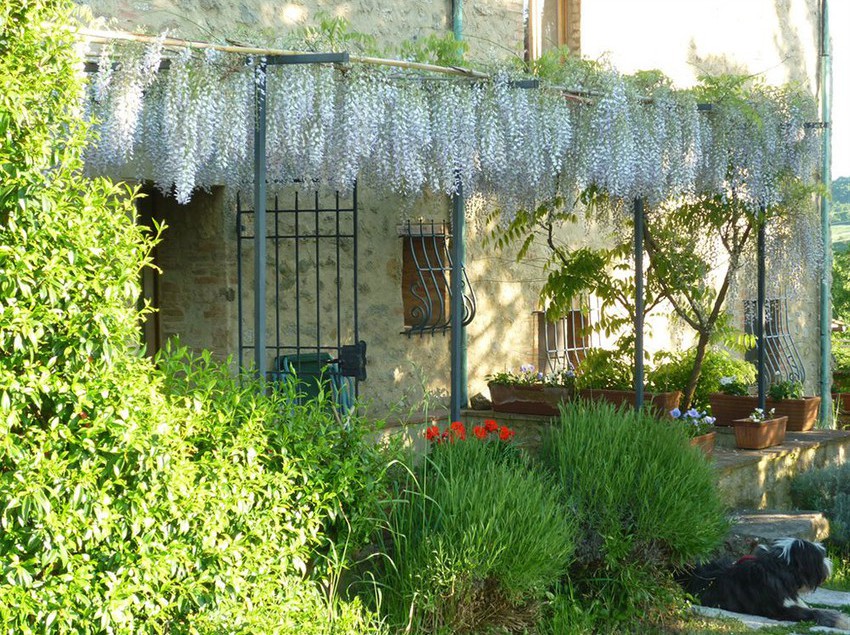 Agriturismo Apparita Pomarance