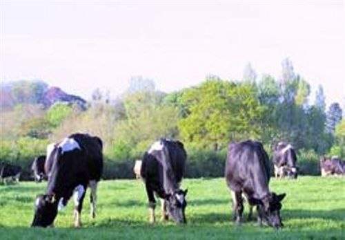 Hotel Canonsgrove Farm Taunton