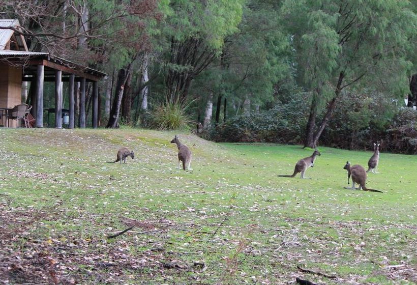 Marima Cottages Pemberton
