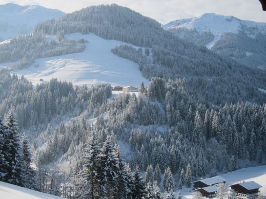 Bauernhof Vorderaltensberg Wildschönau